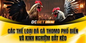 Các thể loại đá gà Thomo phổ biến